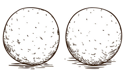 Round fritters in hand drawn ready to color them, Vector illustration