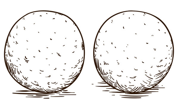 Round fritters in hand drawn ready to color them, Vector illustration