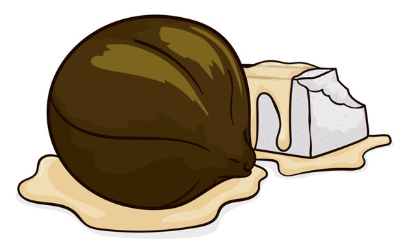 View of delicious fig and cheese soaked in syrup, Vector illustration