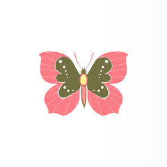 illustration of a butterfly. Beautiful butterfly vector design with white background