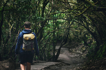 Obraz premium person hiking in the forest, rainforest anaga tenerife