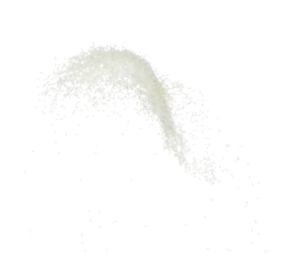 Japanese Rice flying explosion, white grain rices explode abstract cloud fly. Beautiful complete seed rice splash in air, food object design. Selective focus freeze shot white background isolated