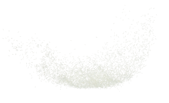 Japanese Rice flying explosion, white grain rices explode abstract cloud fly. Beautiful complete seed rice splash in air, food object design. Selective focus freeze shot white background isolated
