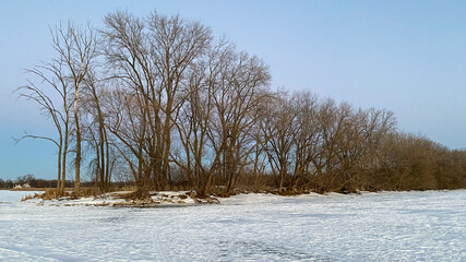 sunset tree silhouettes on frozen lake