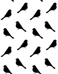 Vector seamless pattern of hand drawn flat bullfinch bird silhouette isolated on white background