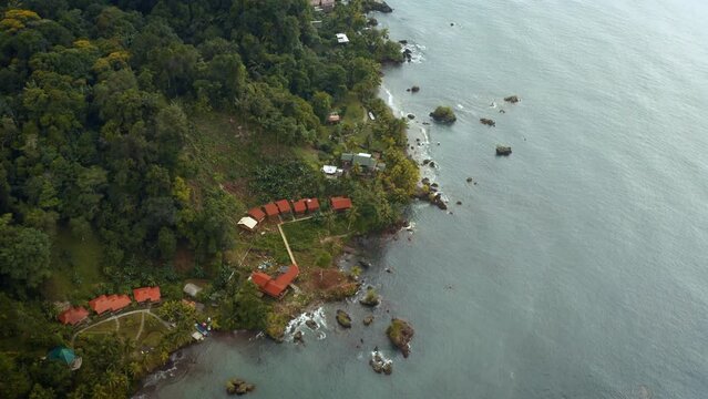 Pacific Coast With Rainforest