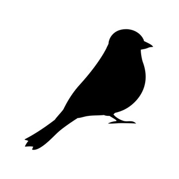 recommend clip art: Vector hand drawn flat bullfinch bird silhouette isolated on white background