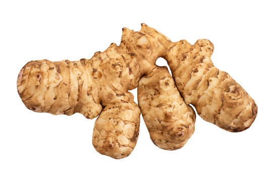 Jerusalem artichoke or Helianthus tuberosus on transparent background.