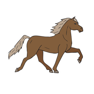 Vector hand drawn doodle sketch colored Iceland horse isolated on white background