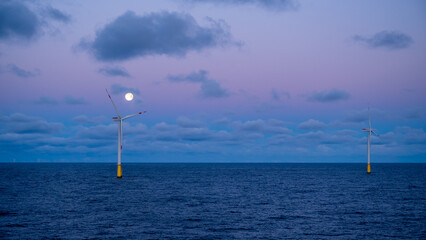Fototapeta premium Early morning at offshore wind farm.