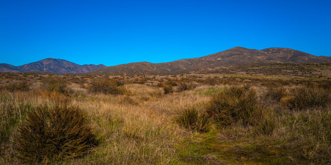 Fototapeta na wymiar Southern California Nature Winter Landscape Series, tranquil scenery of mountain wilderness and open space preserve in Chula Vista, USA