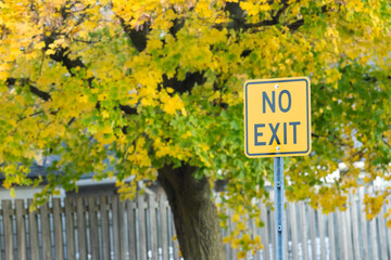 No Exit yellow road sign 