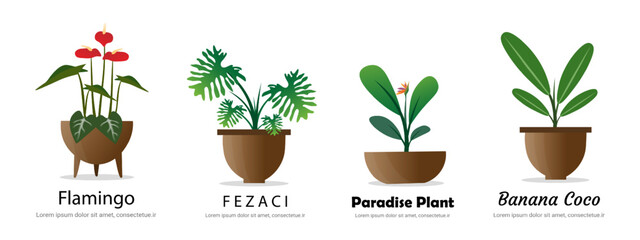 nature plant logo set for ecology brand
