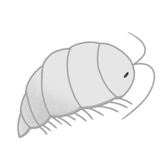 ダイオウグソクムシ