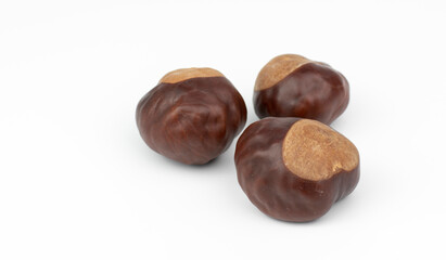 Chestnuts isolated on white background.