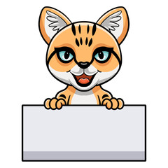 Cute sand cat cartoon holding blank sign
