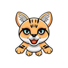 Cute sand cat cartoon flying