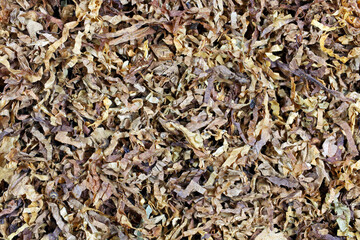 Macro close up tobacco, tan and brown.