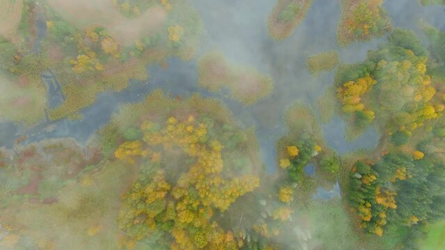 Aerial foggy top-down view of Kirkilai karst lakes in the bright autumn morning