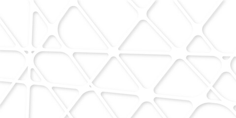 	
Abstract of white architectural structure pattern, Concept of future design .Creative and geometric shape with white luxury pattern and paper texture design in illustration with white line backgroun
