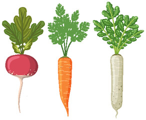 Set of root vegetables