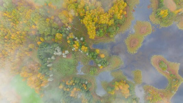 Aerial view of Kirkilai karst lakes in autumn morning, Birzai, Lithuania