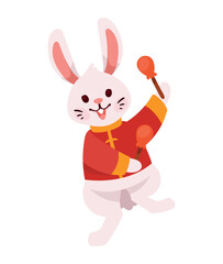 Fototapeta na wymiar asian rabbit with drumsticks