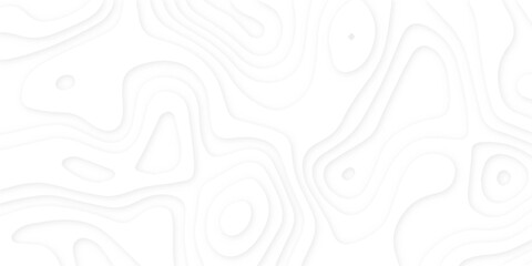 Abstract wavy line 3d paper cut white background. Topographic canyon geometric map relief texture with curved layers and shadow. Abstract realistic papercut decoration textured with wavy layers	