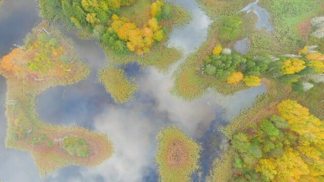 Aerial view of Kirkilai karst lakes in sunny autumn morning, Birzai, Lithuania