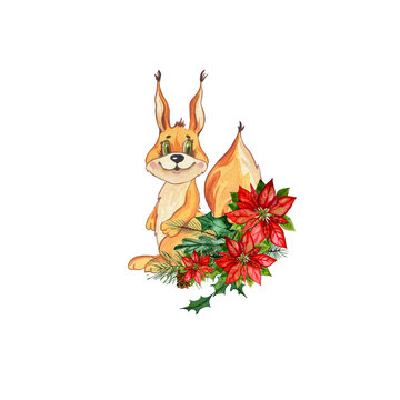Watercolor cute raccoon, with squirrel flowers. Canada. Christmas Star. illustration isolated on white background. Beautiful flower arrangement with watercolor cute cartoon animal