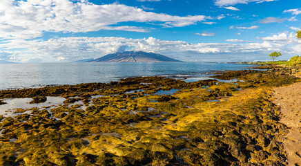 The Exposed Lava Reef of Oneuli Beach, Makena State Park, Maui, Hawaii, USA