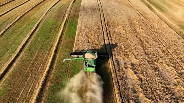 John Deere combine harvester on grain harvest. Wheat harwesting in field. Wheat planting. Wheat and corn markets in crisis world&rsquo;s breadbasket. Kazakhstan Alma-Ata, Aug 12, 2022.