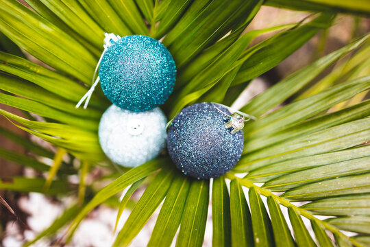 Christmas Baubles On Tropical Palm Tree In Sunny Backyard, Festive Season In Warm Places And In The Southern Hemisphere