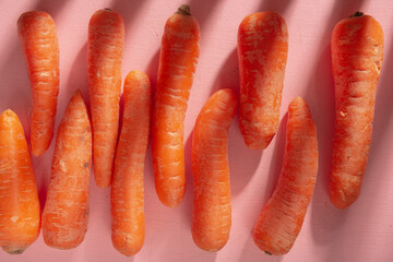 An orange carrot lies on a wooden board. Bright pink background
