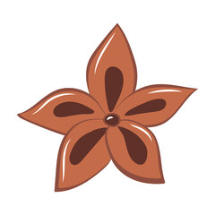 Spice Anise Simple Flat Illustration