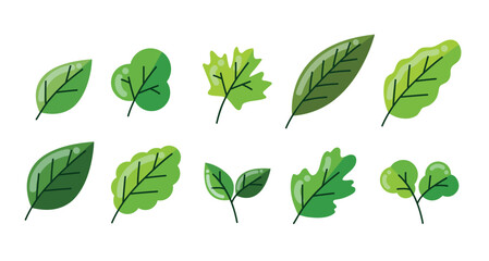 simple green leaves elements vector illustration