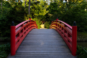 bridge in the park