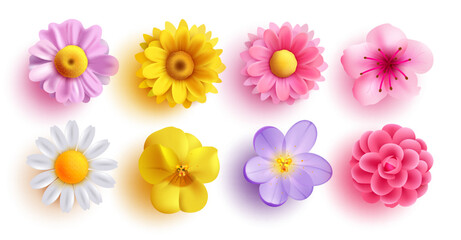 Spring flowers set vector design. Spring flower collection like daffodil, sun flower, crocus, daisy, peony and chrysanthemum fresh and blooming elements isolated in white background. Vector - obrazy, fototapety, plakaty