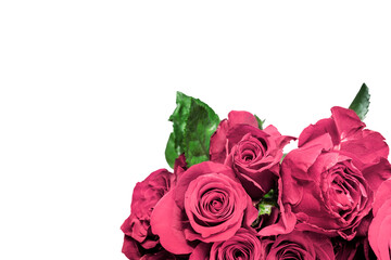 Red roses