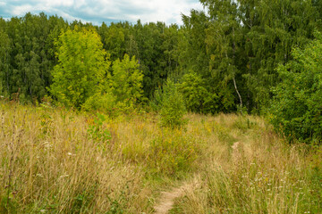 General view of the wild natural landscape with a narrow trodden path, dry grass and trees.
