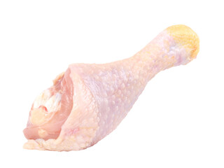 Raw chicken leg isolated