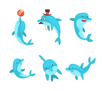 Cute bottlenose dolphins jumping and performing tricks at entertainment show set cartoon vector illustration
