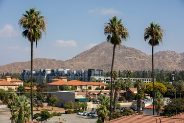 Fototapeta na wymiar Palm framed day time view of the downtown skyline of Riverside, California, USA.