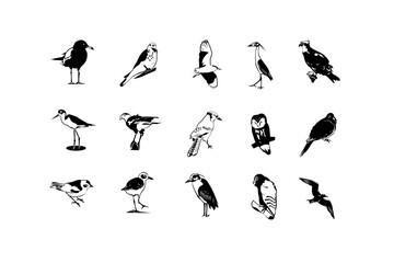 Birds silhouette Set. Silhouettes birds transparent back grounds, Black birds Png, birds sketches, black and white birds sketches 