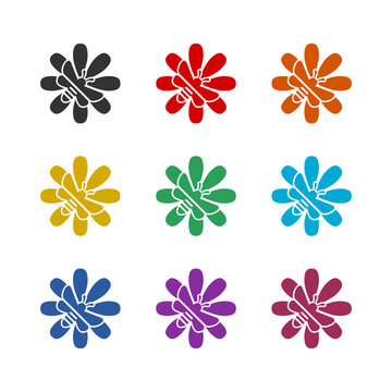 Honey Bee Logo icon isolated on white background. Set icons colorful