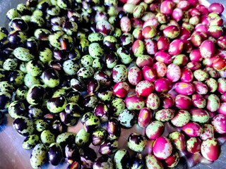 Closeup view and selective focus of fresh Pigeon peas