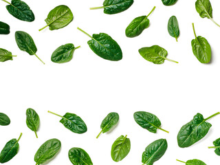 Pattern from baby spinach isolated