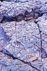 Unusual rock formations at Bulli Beach, NSW