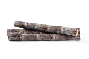 fresh sugarcane isolated on white background.