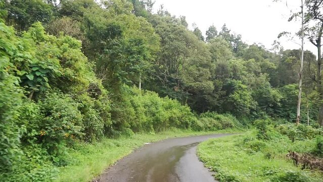 trip with natural scenery of hills and tall green trees with cloudy foggy weather after rain during the day	